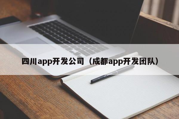 四川app开发公司（成都app开发团队）