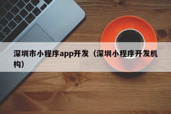 深圳市小程序app开发（深圳小程序开发机构）