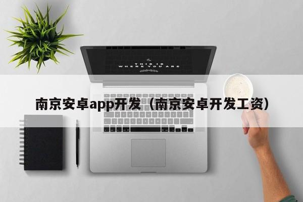 南京安卓app开发（南京安卓开发工资）
